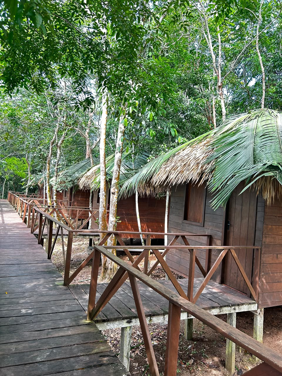 Row of wooden Amazon chalets connected by an elevated boardwalk.